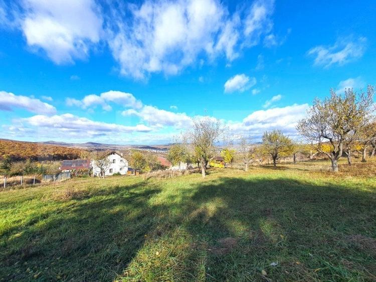 Teren Construcții intravilan de 3800 mp, în Exterior Sud