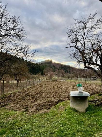 Casă cu 4 camere cu Teren 3100 Mp în Câmpuri
