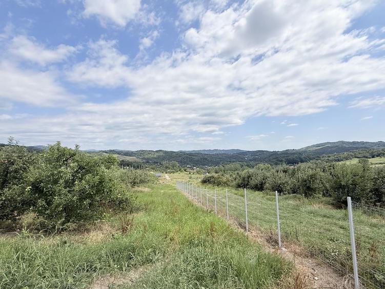 Teren Construcții intravilan de 2721 mp, în Valea Târsei