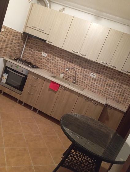 Studio cu gradina si terasa - 7