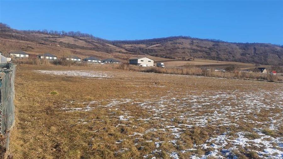 Teren intravilan de 4300 mp, în Ivănești