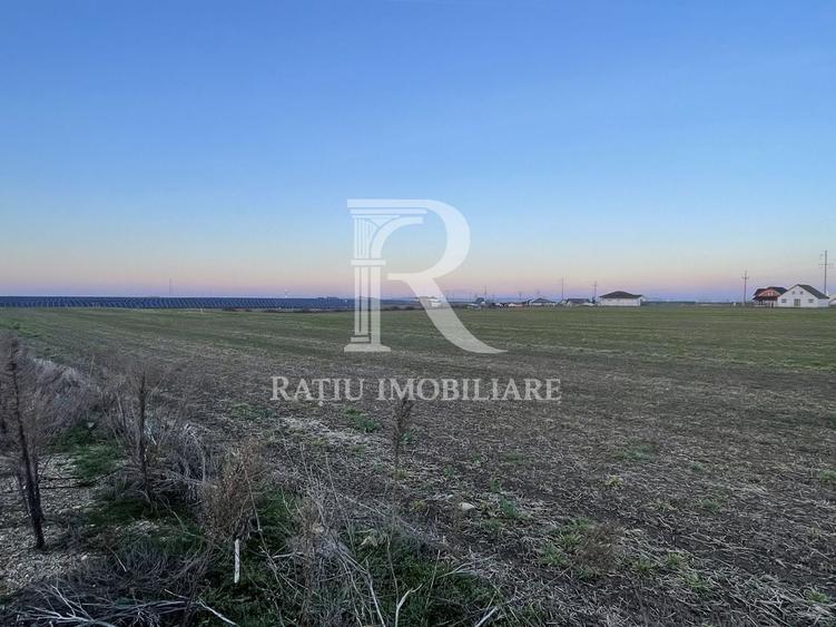 Teren Construcții intravilan de 500 mp, în Livada de Bihor