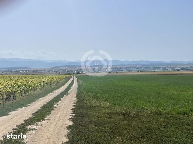 Teren de 20500 mp, în Central