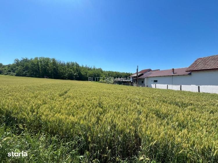 Teren intravilan cu vedere la padure, 2.533 mp, Melinesti, Amarasti