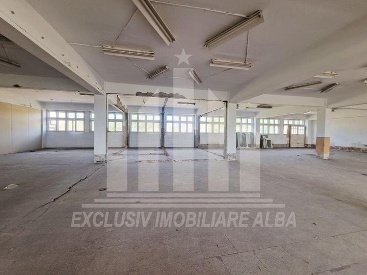 Spațiu industrial, de 1,100 mp, în Bărăbanț