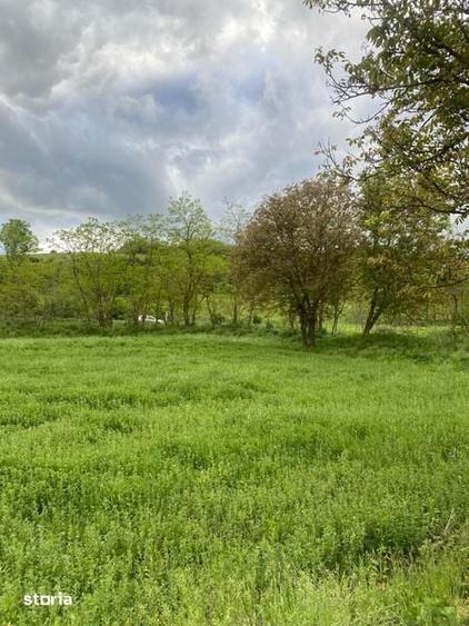 Teren de 15000 mp, în Moldovenești