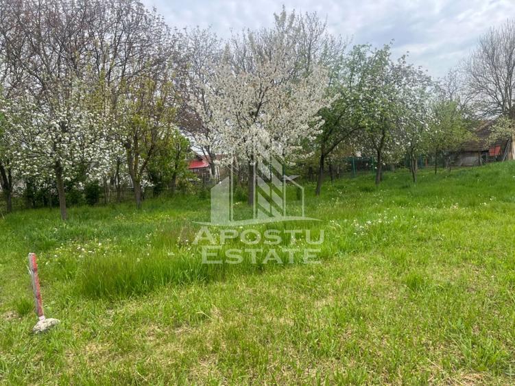 Teren Construcții intravilan de 1001 mp, în Sânandrei