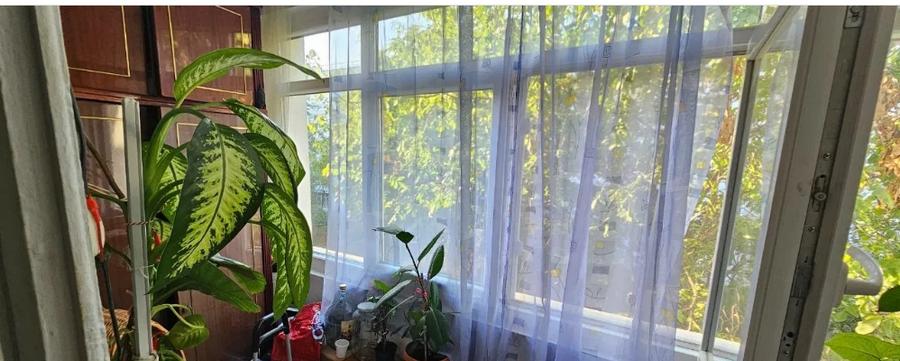 Apartament cu 3 camere decomandat în Theodor Pallady — fotografia 3