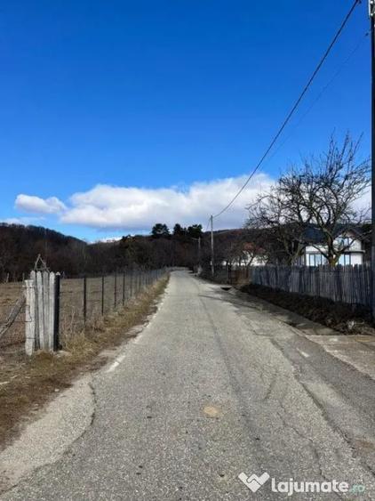 Teren în Cicănești