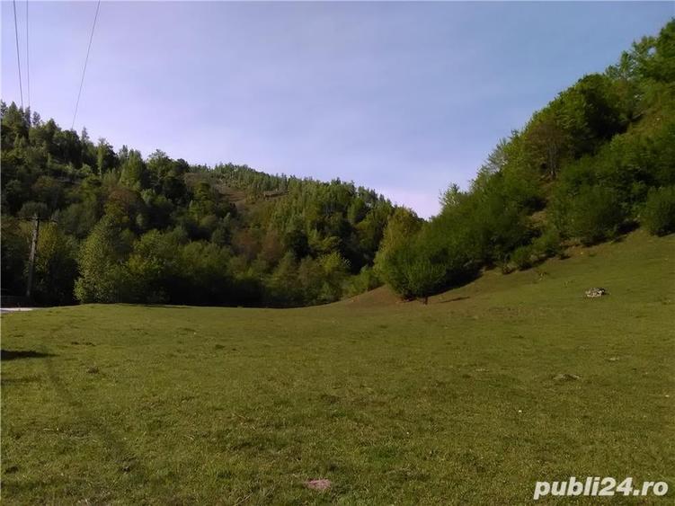 Teren de 5500 mp, în Pietroasa