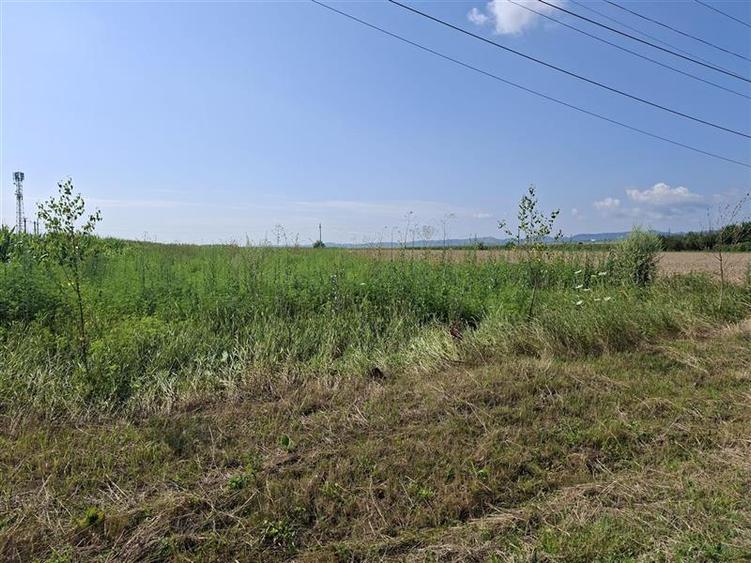 Teren intravilan de 1600 mp, în 9 Mai