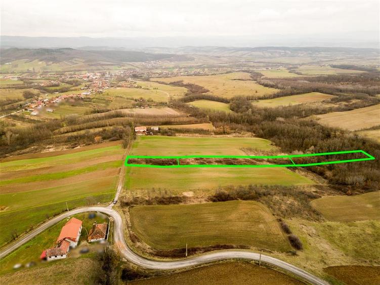 Teren intravilan de 7089 mp, în Ceica