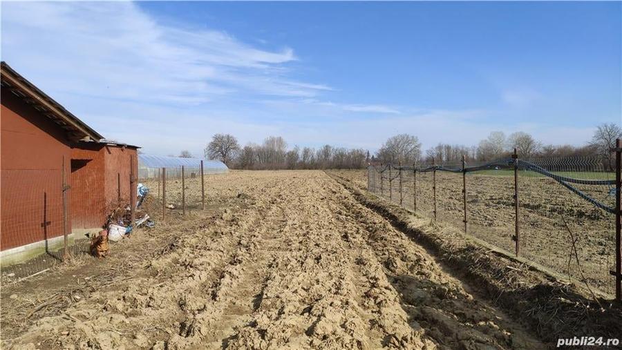 Teren de 2500 mp, în Sud