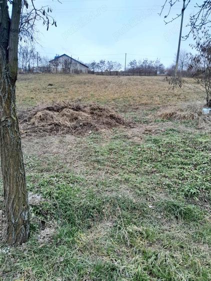 Casă cu 2 camere cu Teren 3240 Mp în Mânăstireni