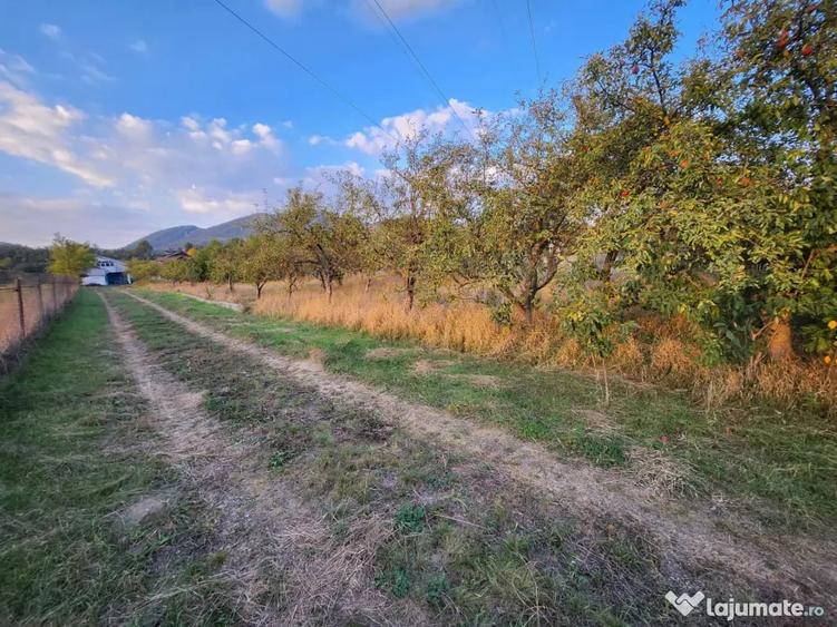 Teren în Alexandru cel Bun