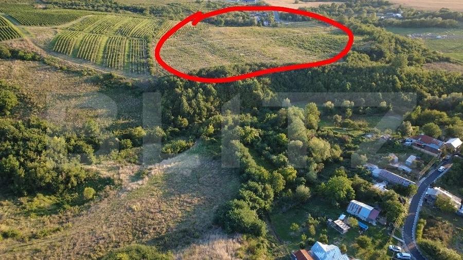 Teren agricol extravilan de 56200 mp, în Bucov