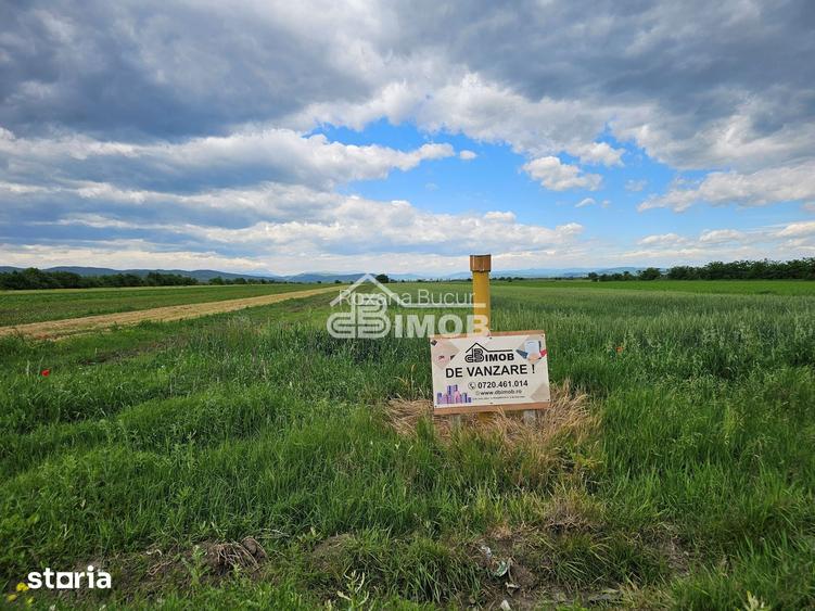 Teren extravilan agricol 2.500 m2 | 21 ml deschidere | Filipe?tii de T