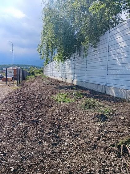 Teren de 2500 mp, în Boldești