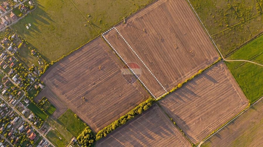 Teren agricol extravilan de 12500 mp, în Dumbrava