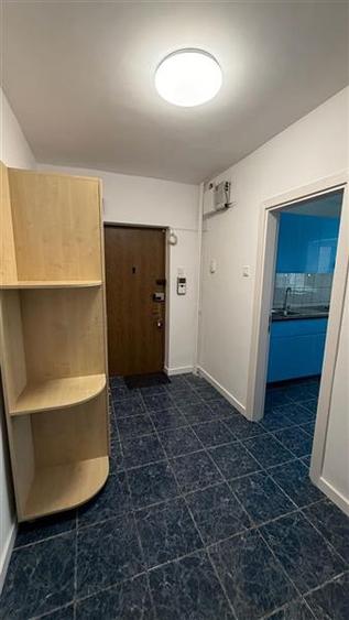 Apartament 3 camere Calea Vacaresti/ Pridvorului - 8