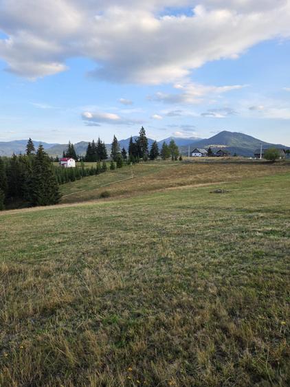 Spațiu comercial, în Piatra