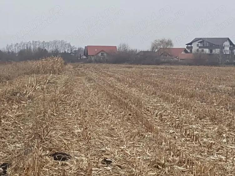 Teren de 2932 mp, în Stupini