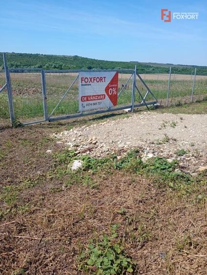 Teren agricol extravilan de 6100 mp, în Pișchia