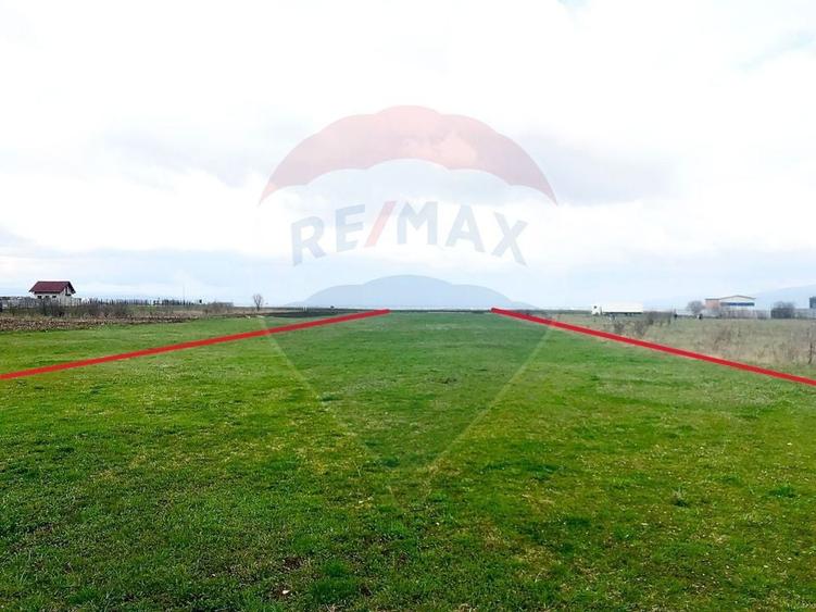 Teren Construcții intravilan de 506 mp, în Cărpiniș