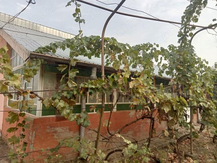 Casă cu 4 camere în Ostroveni