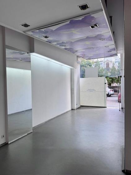 Spațiu comercial, de 41.639999389648 mp, în Ultracentral