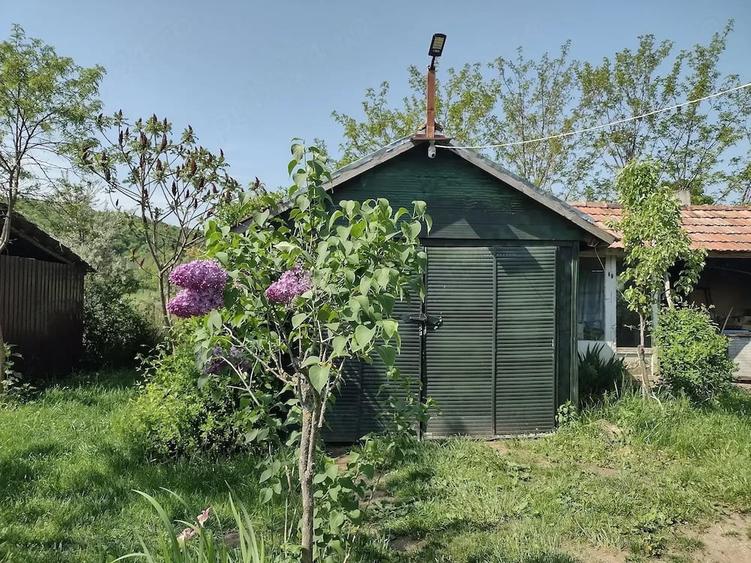 Teren de 4000 mp, în Pietroasa