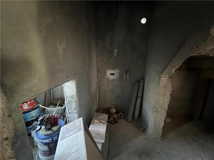 Casa la rosu, de vanzare in Lunca Cetatuii - 5