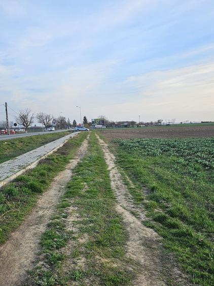 Teren agricol extravilan de 21600 mp, în Satu Nou