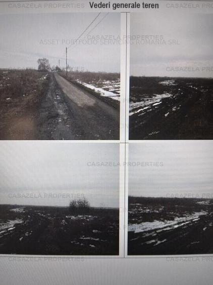 Teren agricol extravilan de 6797 mp, în Tărtășești