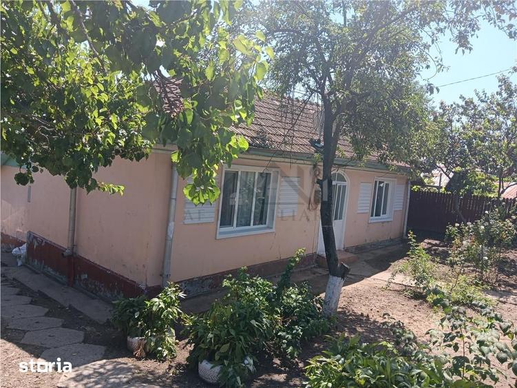 Teren de 554 mp, în Ciurea