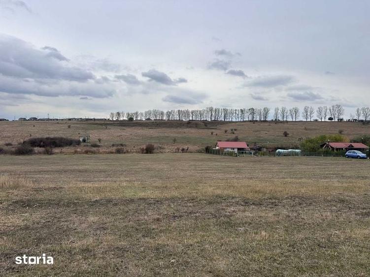 Teren de 3700 mp, în Roșia