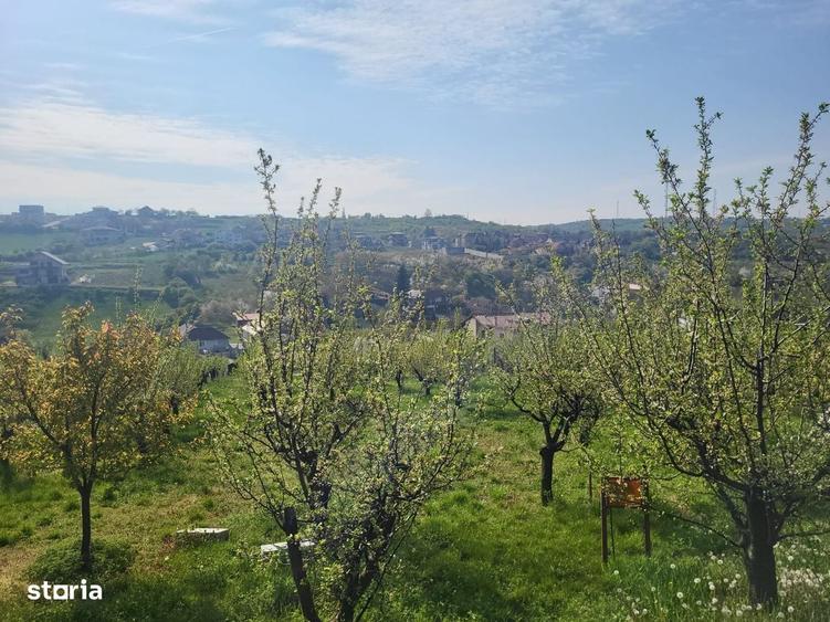 Spațiu comercial, în Spitalul Județean