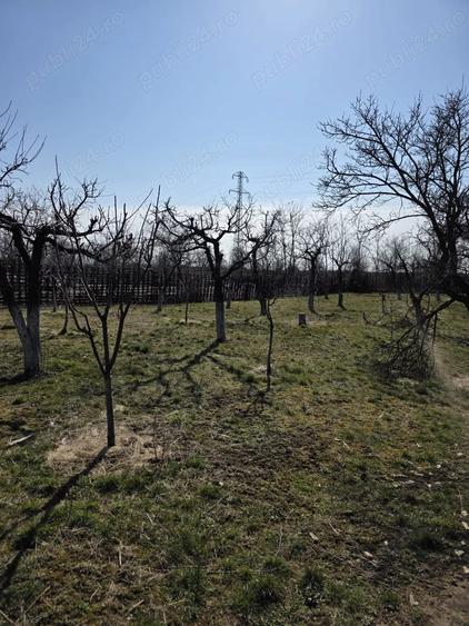 Casă cu Teren 2579 Mp în Colanu