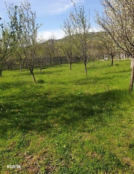 Teren de 750 mp, în Chiojdu