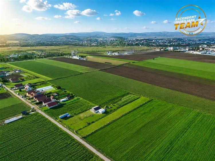 Teren Construcții intravilan de 2498 mp, în Chilieni