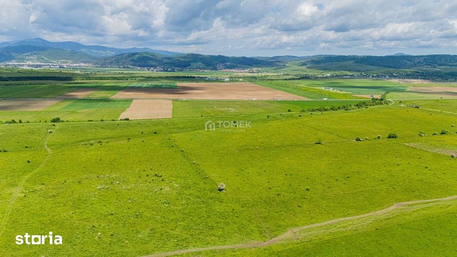 Teren de 5800 mp, în Central