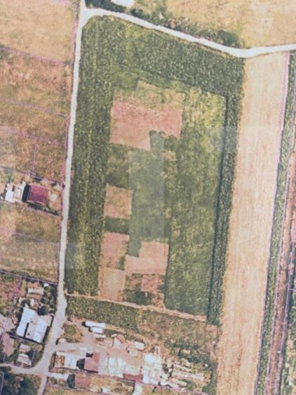 Teren agricol intravilan de 10000 mp, în Dorohoi