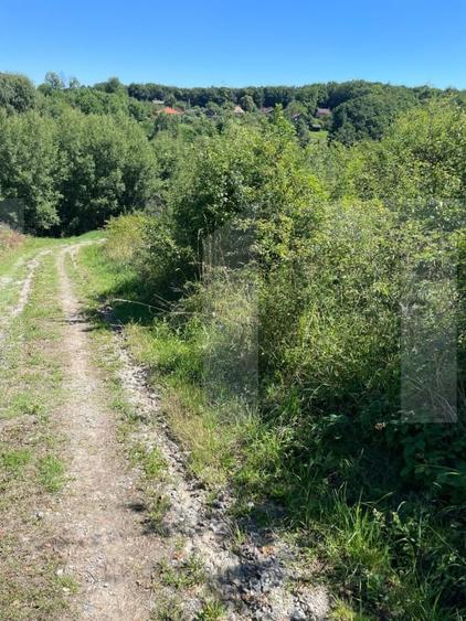 Teren Construcții intravilan de 700 mp, în Feleacu