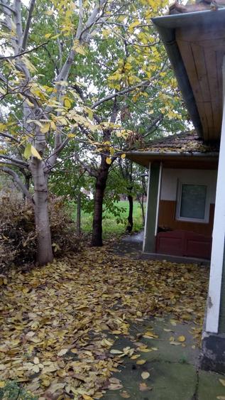 Casă individuală cu 3 camere cu Teren 1876 Mp în Vest