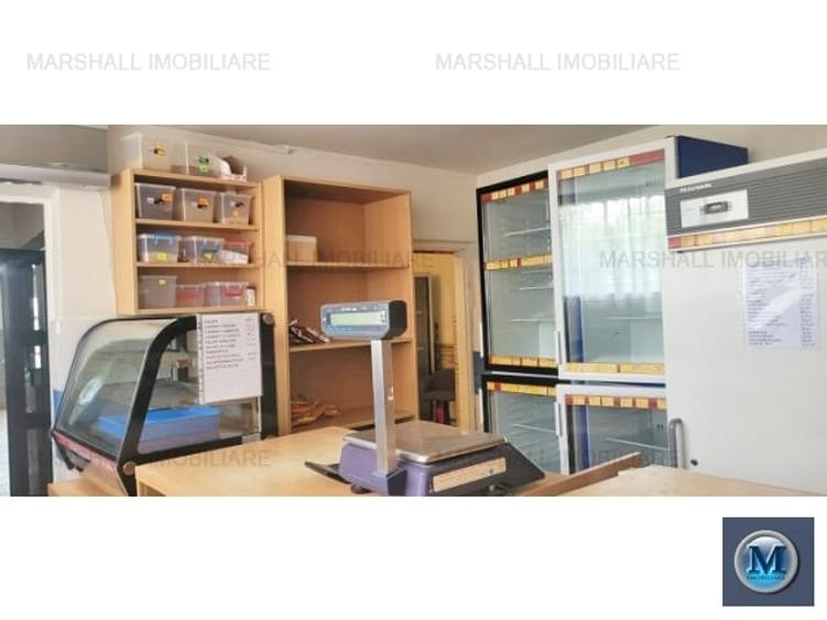 Casă cu 5 camere cu Teren 1366 Mp în Nevesteasca