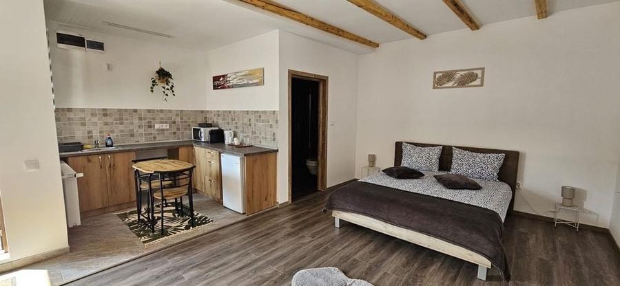 Apartament în Central