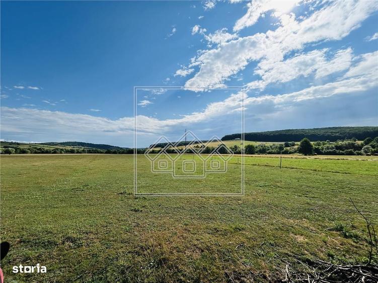 Teren intravilan, 5861 mp - Tocile - 1