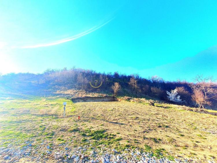 Teren Construcții intravilan de 1641 mp, în Exterior Est