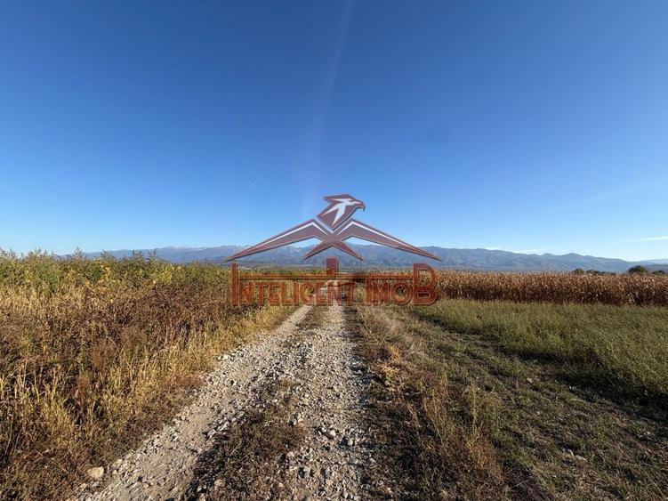 Teren agricol extravilan de 1250 mp, în Bradu