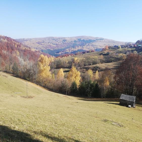 Teren Construcții intravilan de 10479 mp, în Răchițele